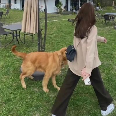 无须喝彩